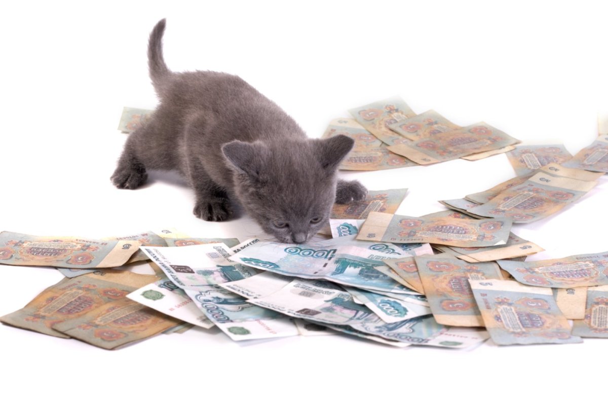 Монеты и купюры Белоруссии 2021 года