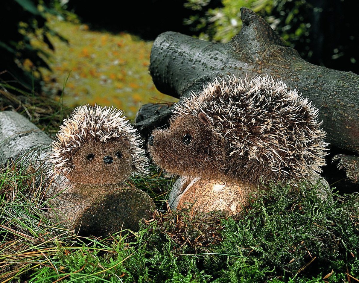 Семья ежей коллекционеру