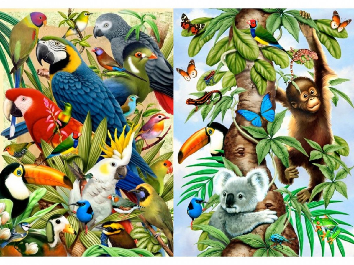 Джунгли. Животные и птицы