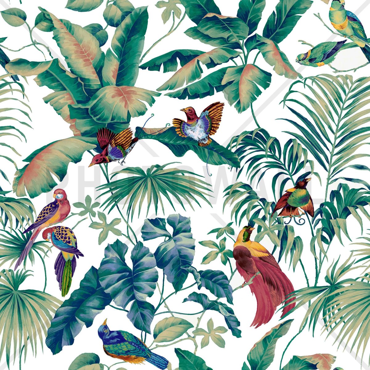 Тропические растения