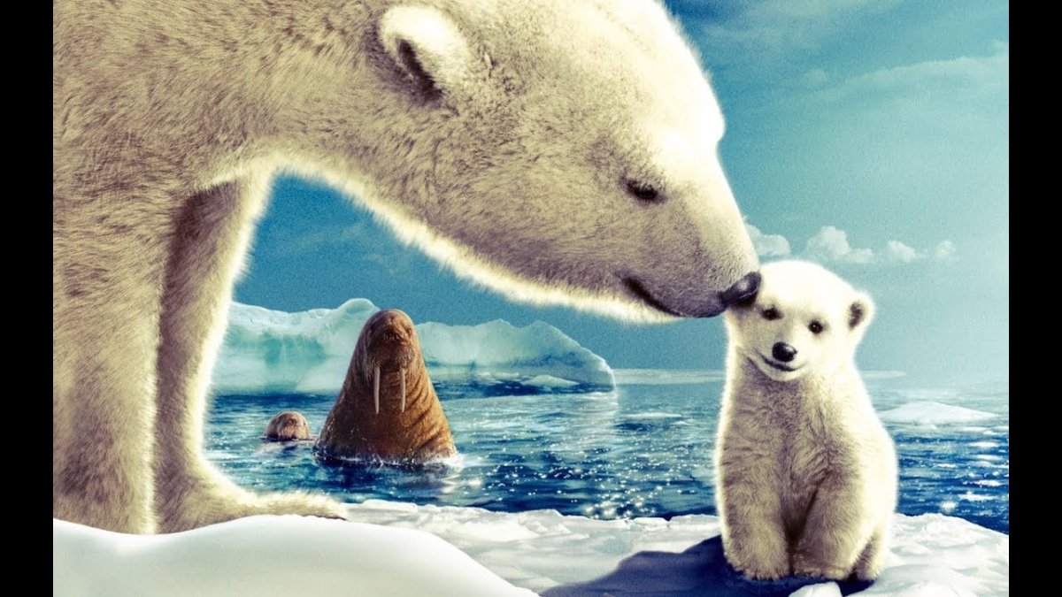 Белый медведь на снегу