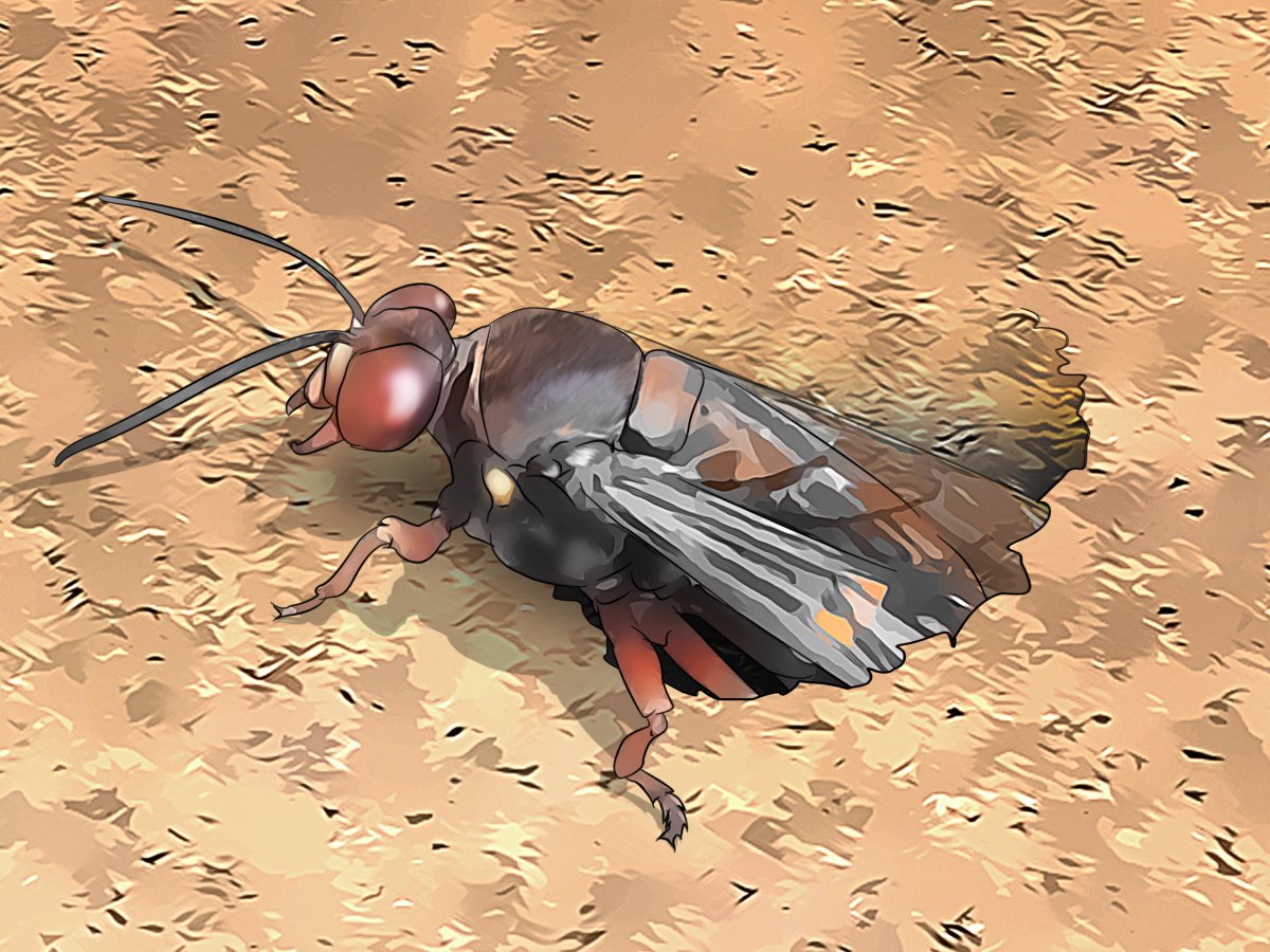 Роющие насекомые