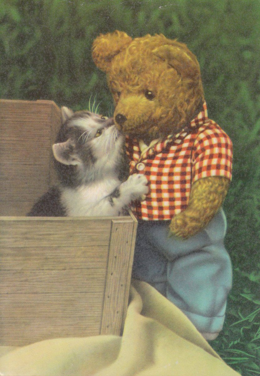 Котик с мишкой