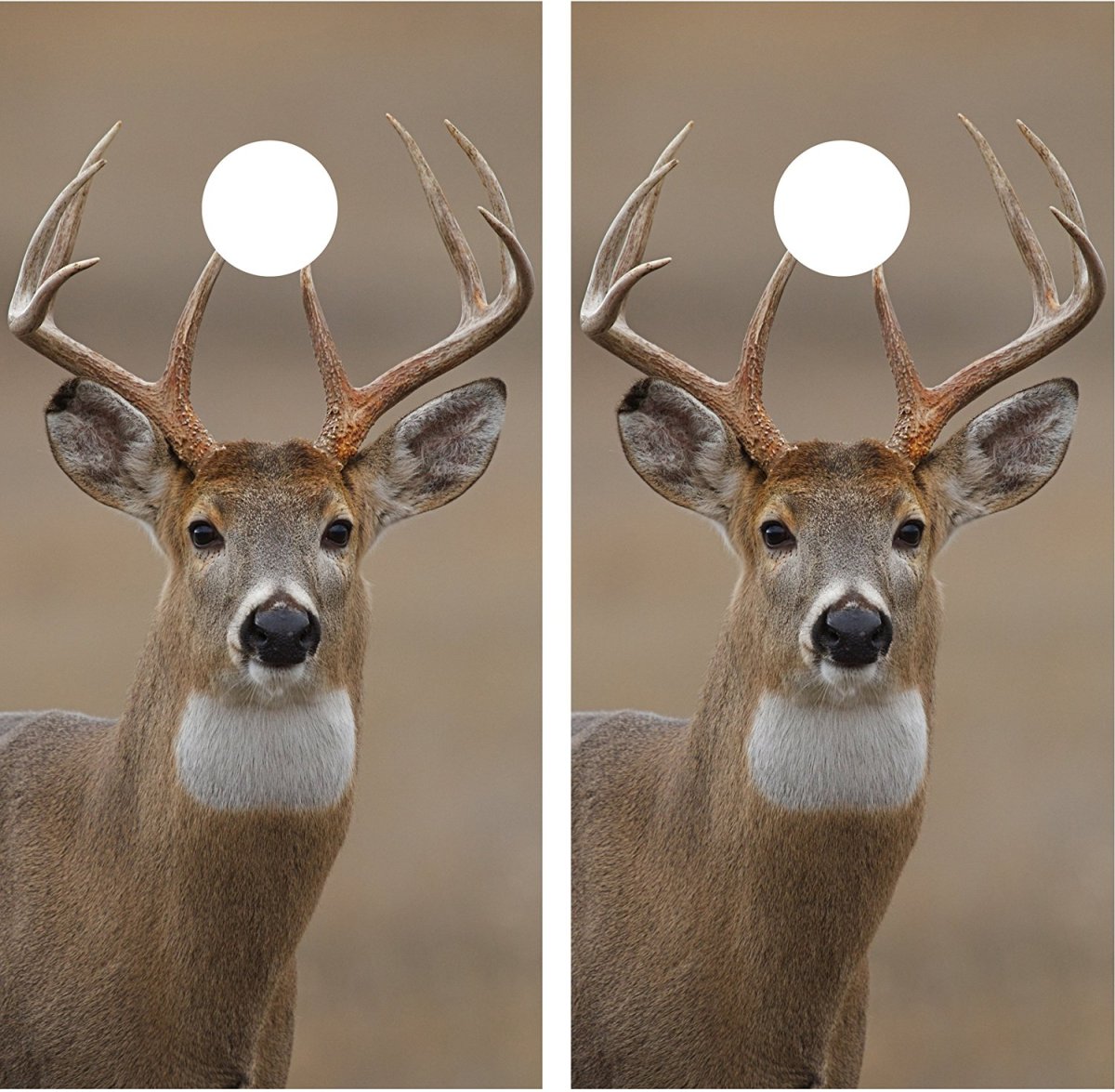 Хвостовое зеркало оленя