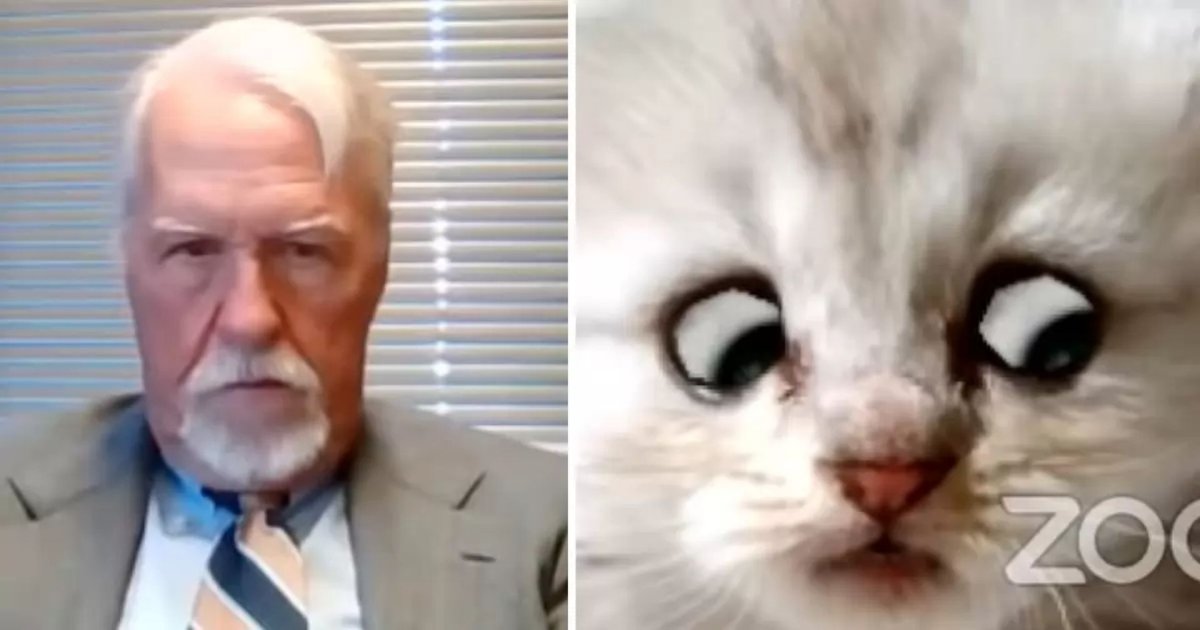 Книги про кошек