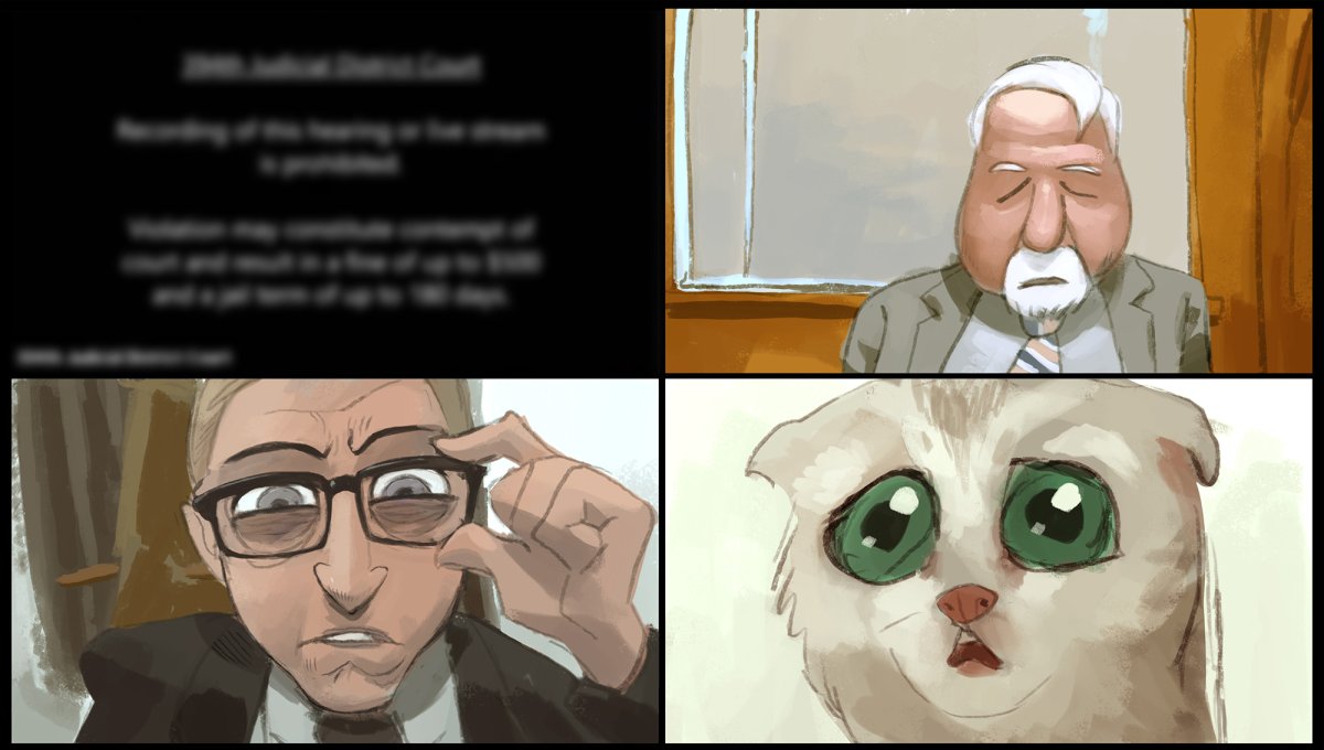 Адвокат для котов