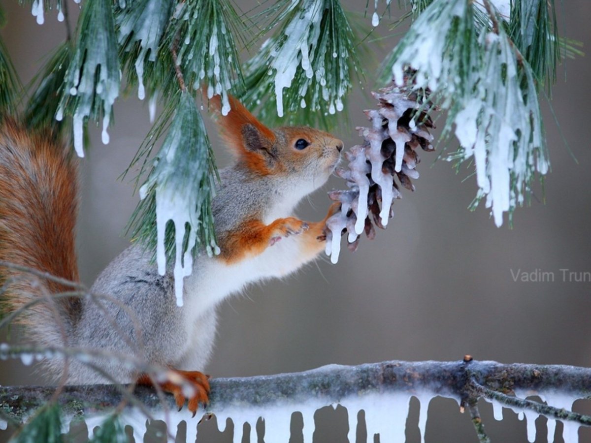 Вадим Трунов фотограф