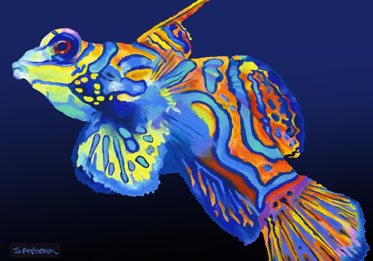 Красивые экзотические рыбки