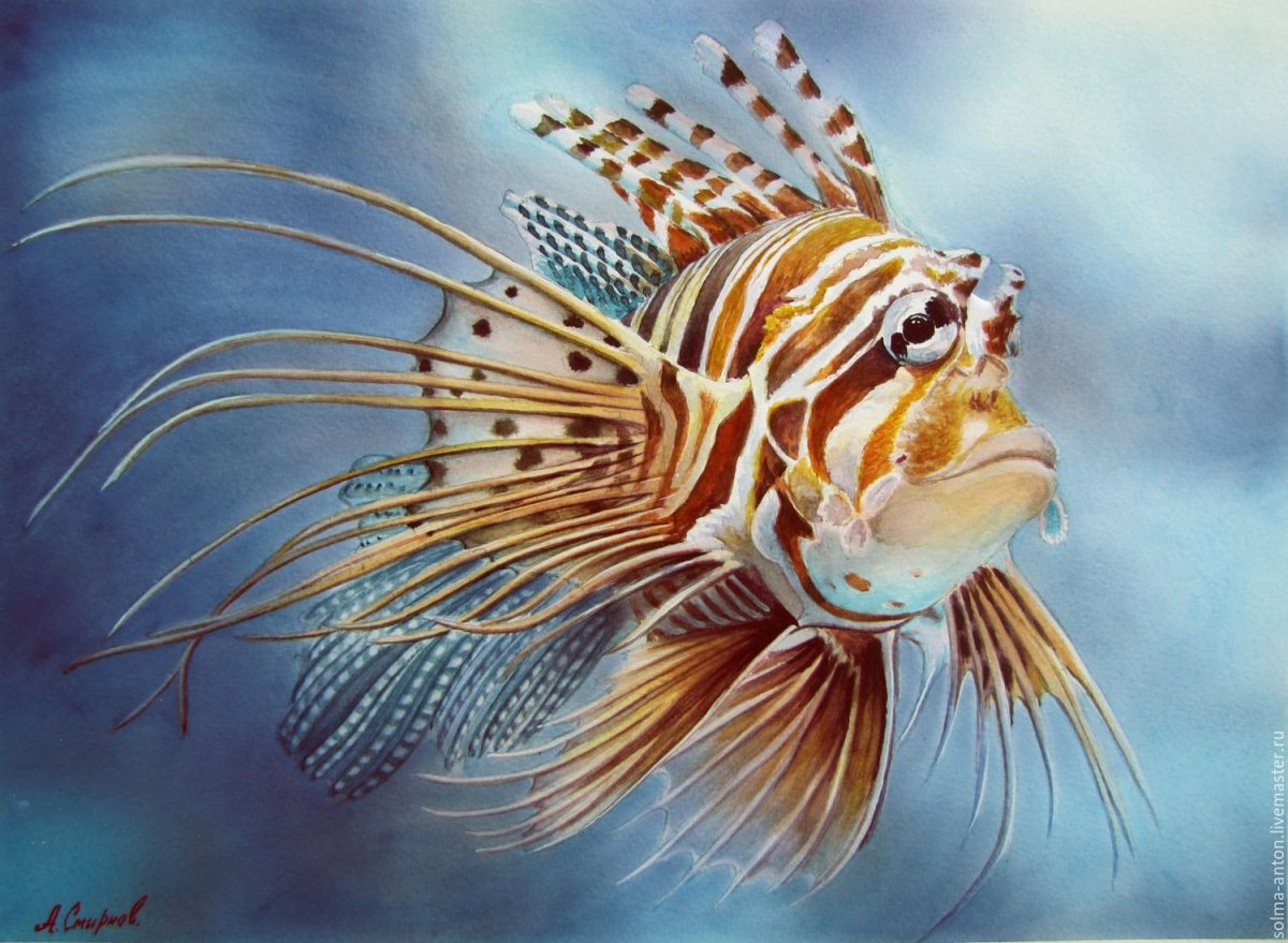 Яркие рыбки