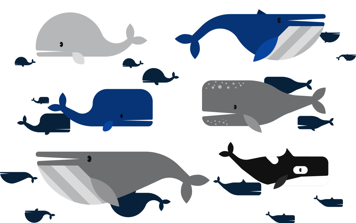 Кит в толще воды