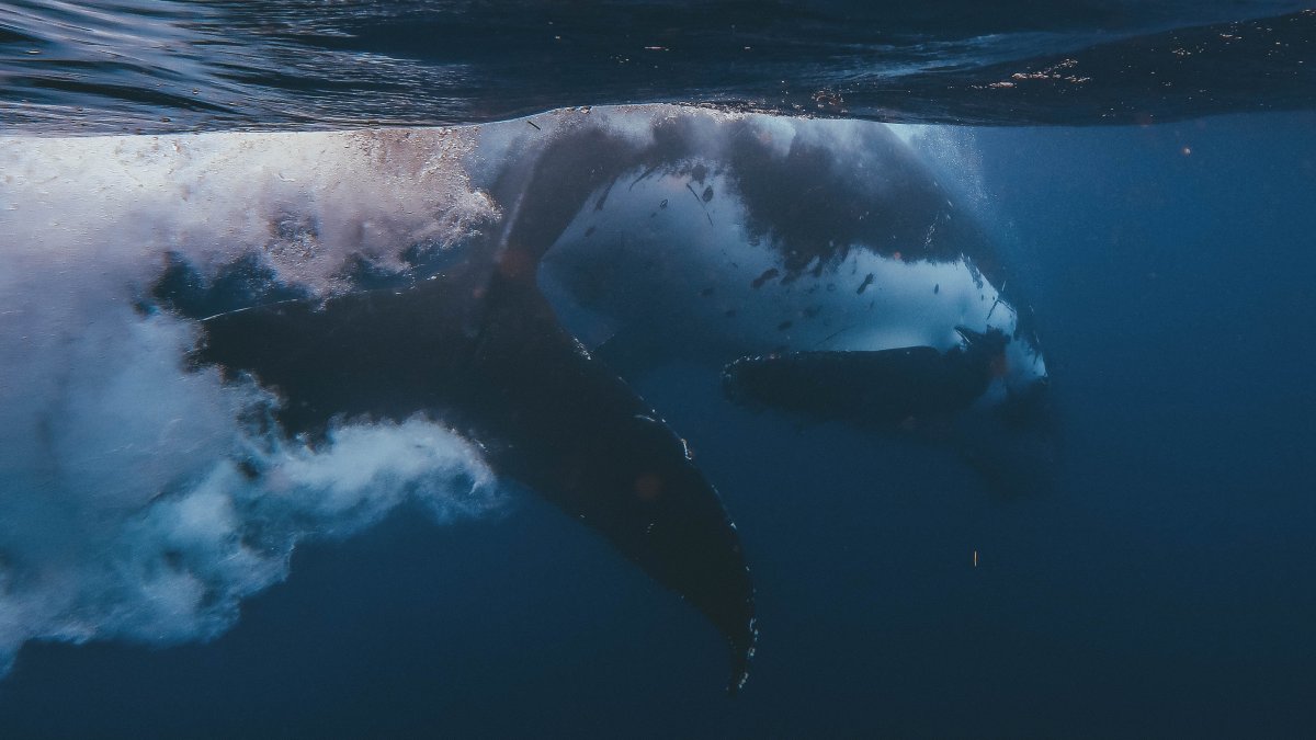 Минималистичные Стикеры