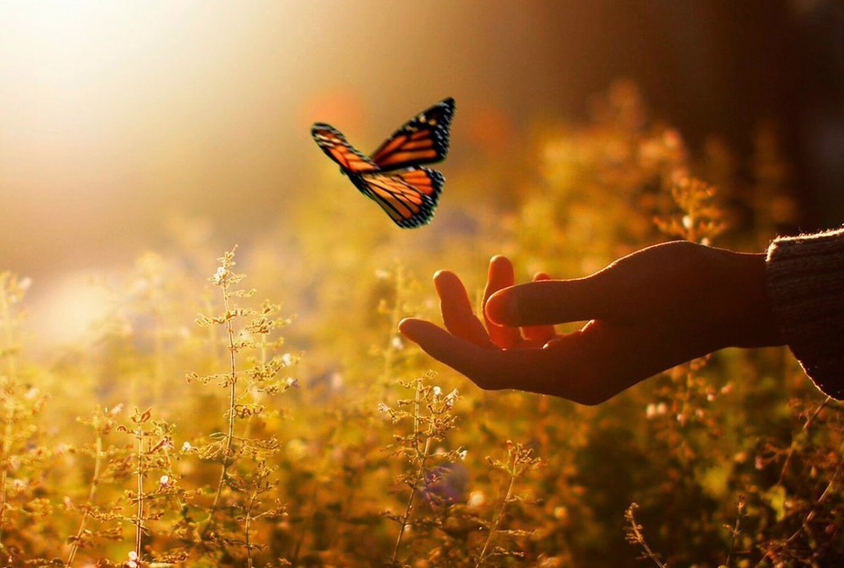 Эдуард Асадов доброта