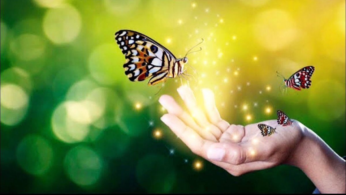 Бабочки летят на ладошки