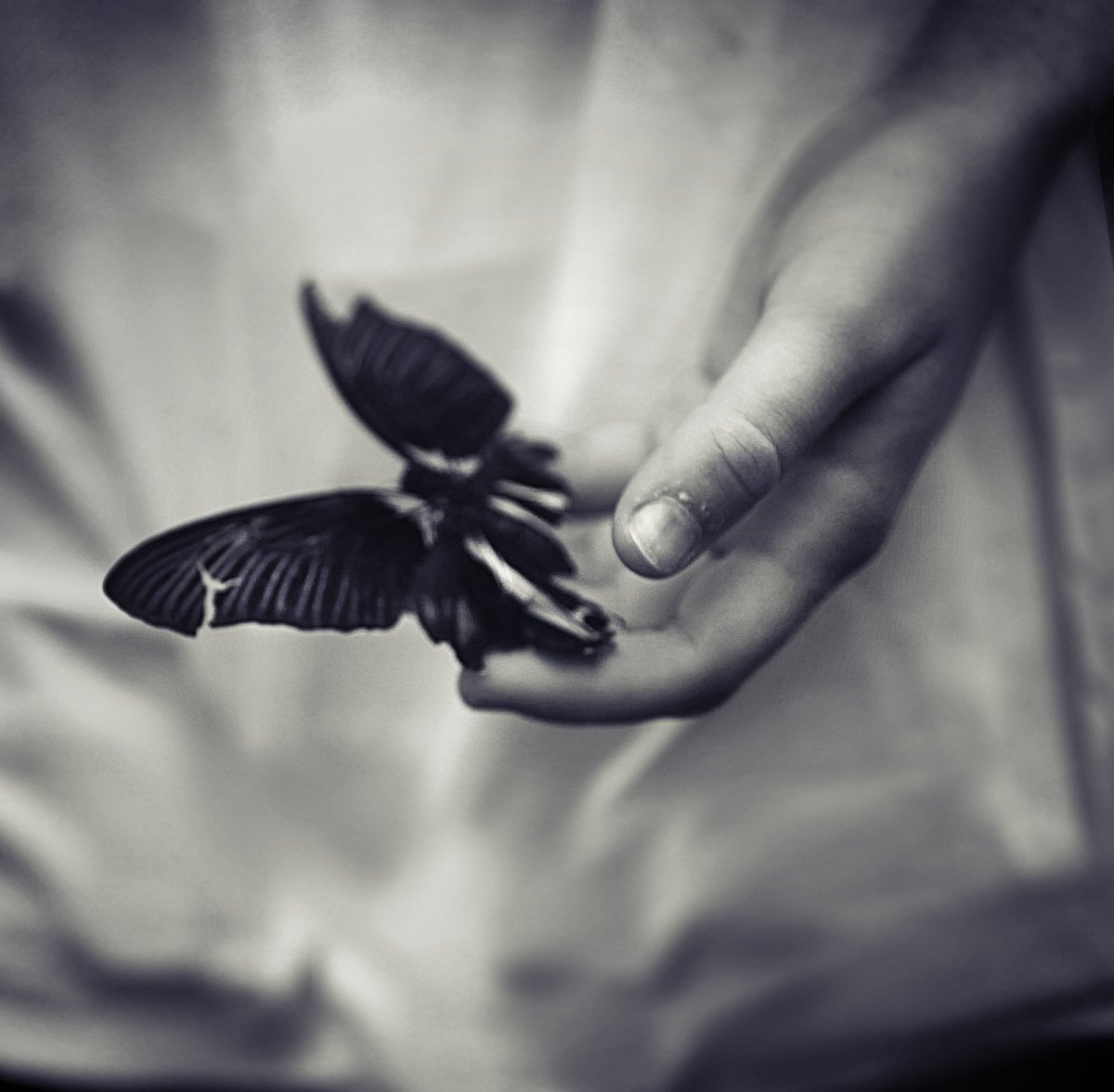 Мотылек на руке