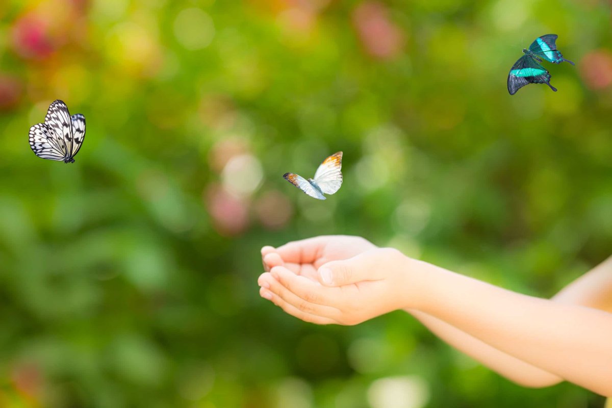Бабочка в детских руках