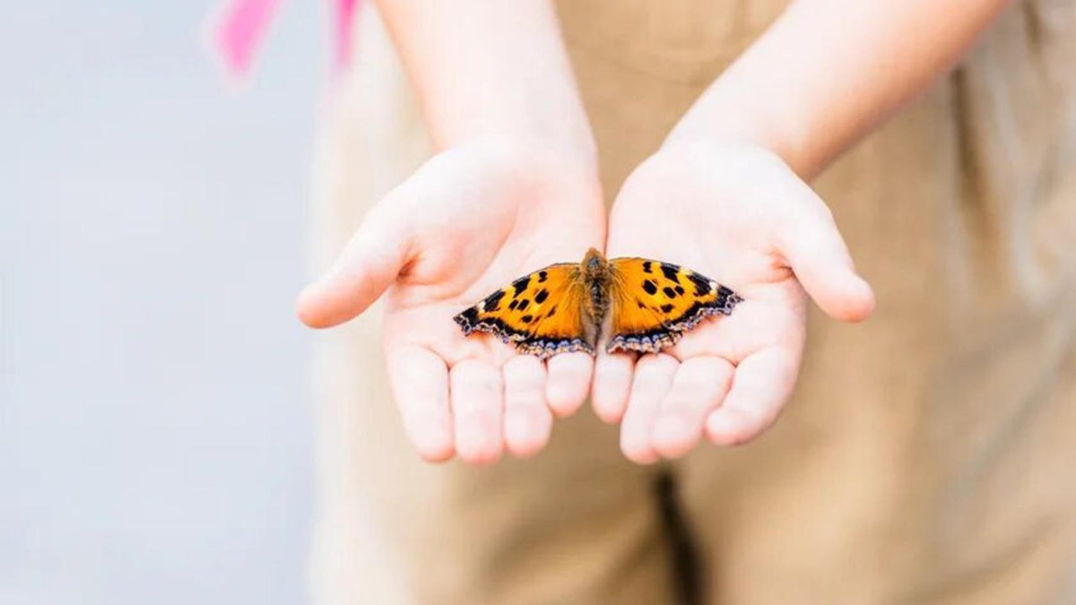 Бабочка на детской руке