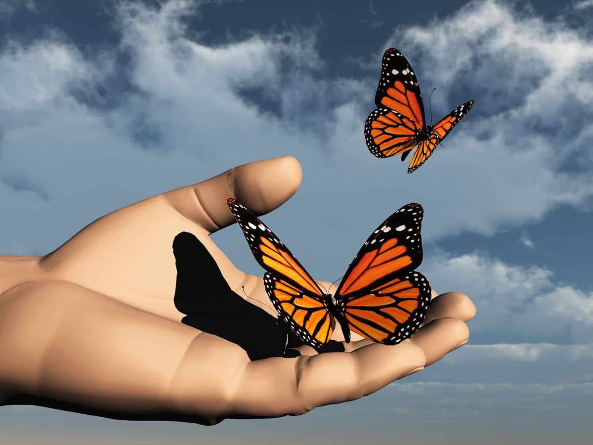 Бабочка улетает с ладони