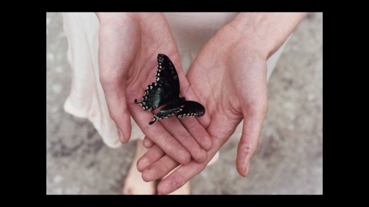 Бабочка на ладошке