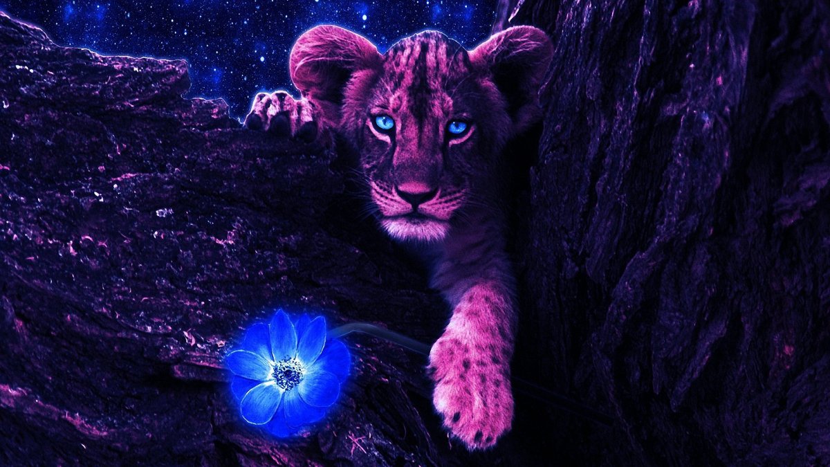 Фиолетовый Лев