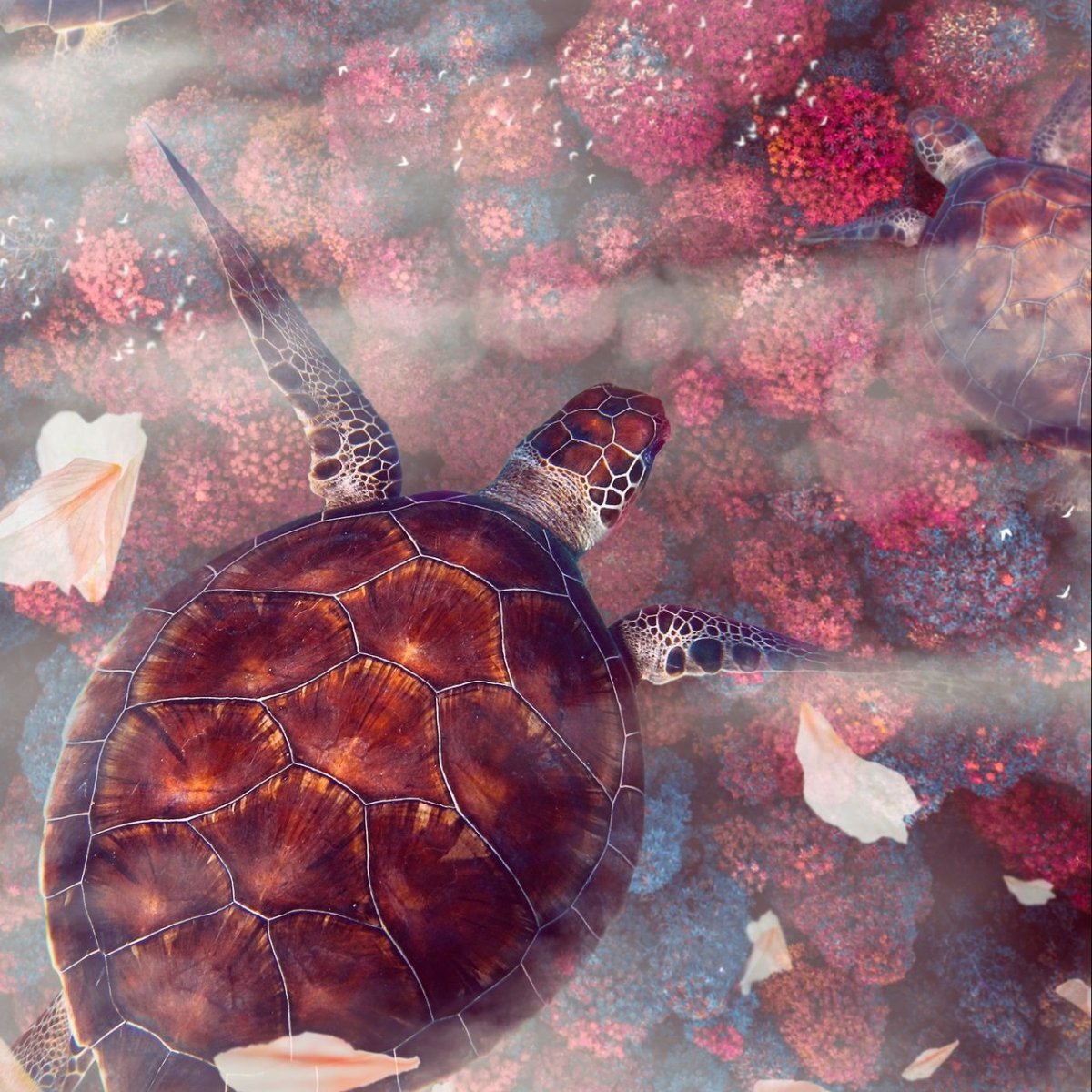 Морская черепаха