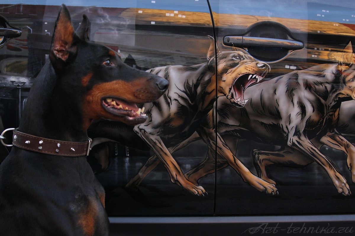 Аэрография овчарка