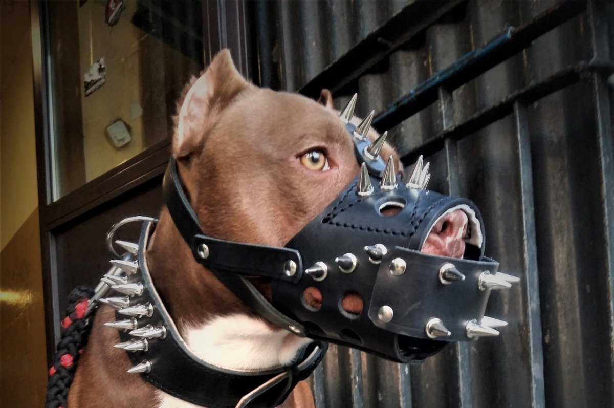 Намордники для собак "оборотень Классик"