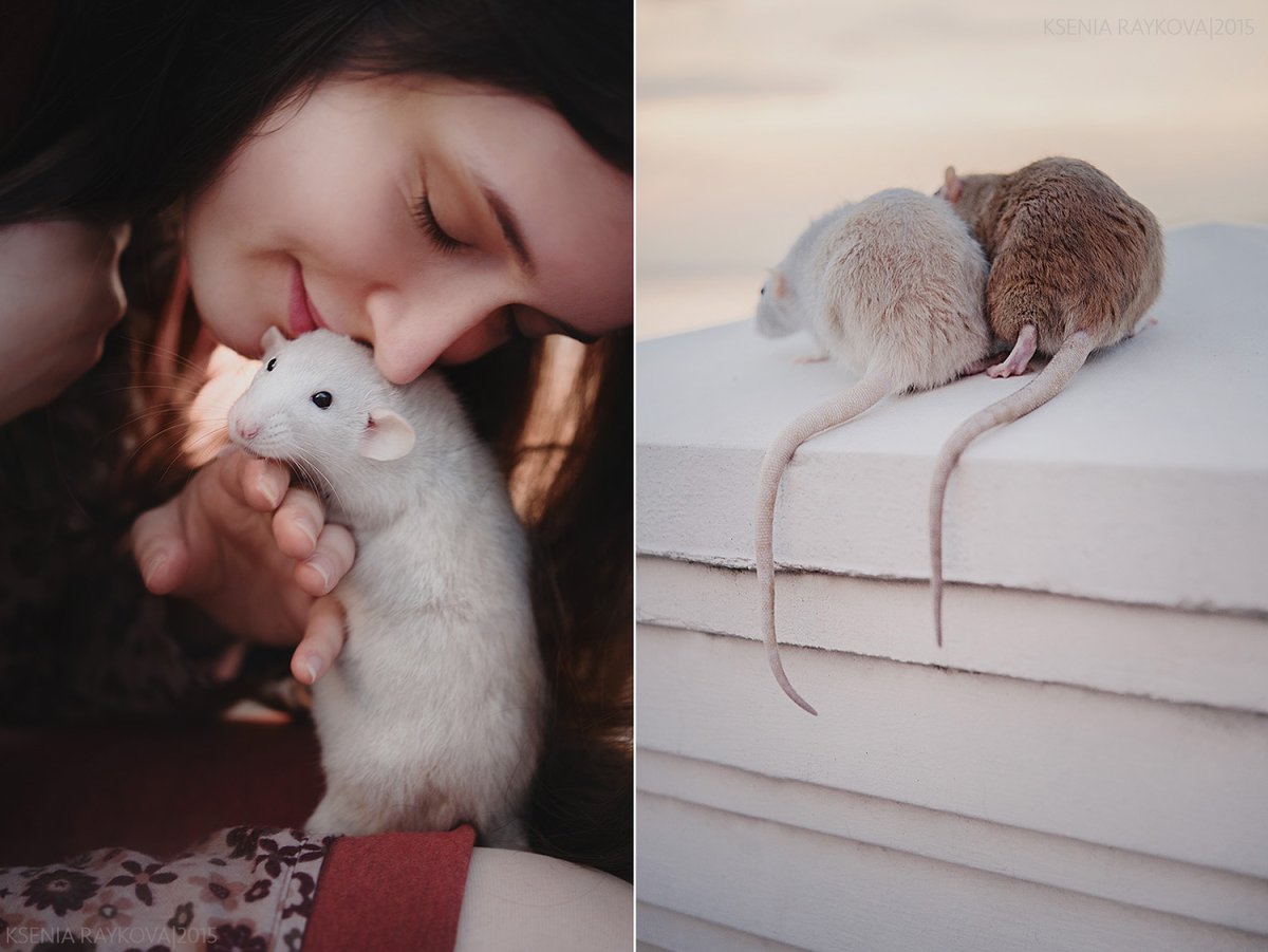 Девушка с крысой Эстетика