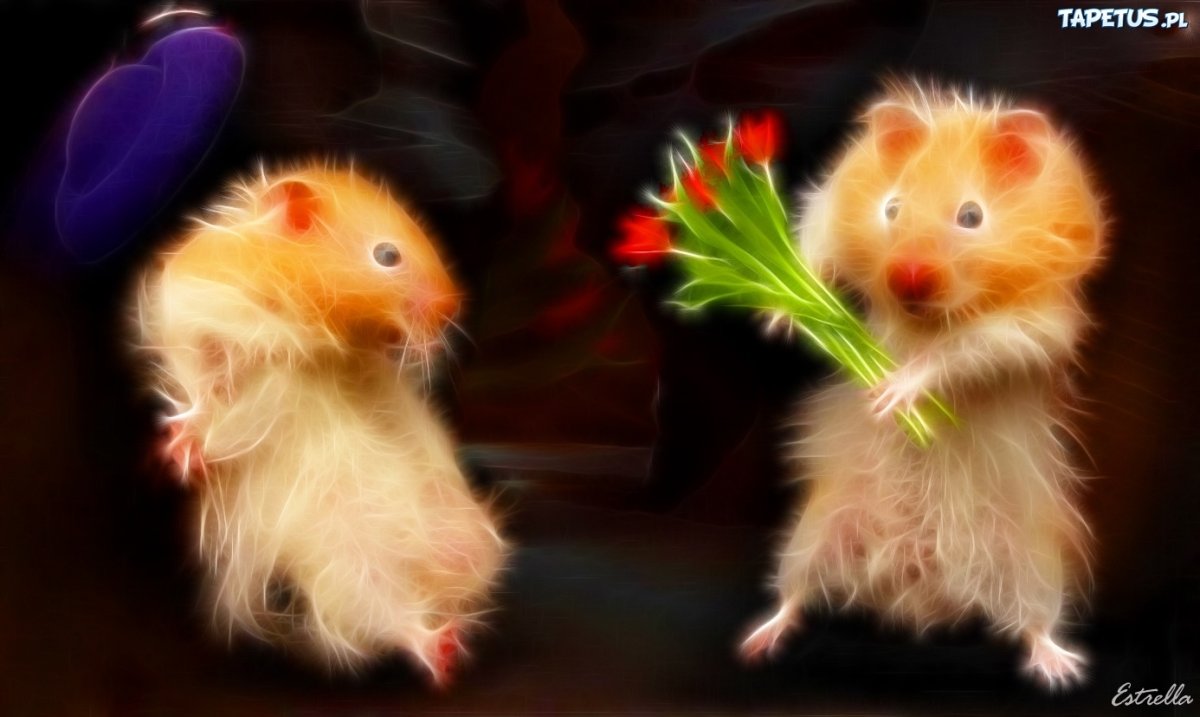 Влюбленные хомяки