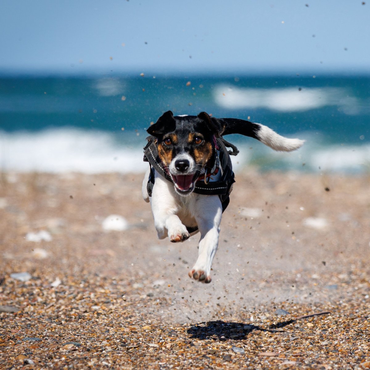 Обои я же говорил что Прыгну