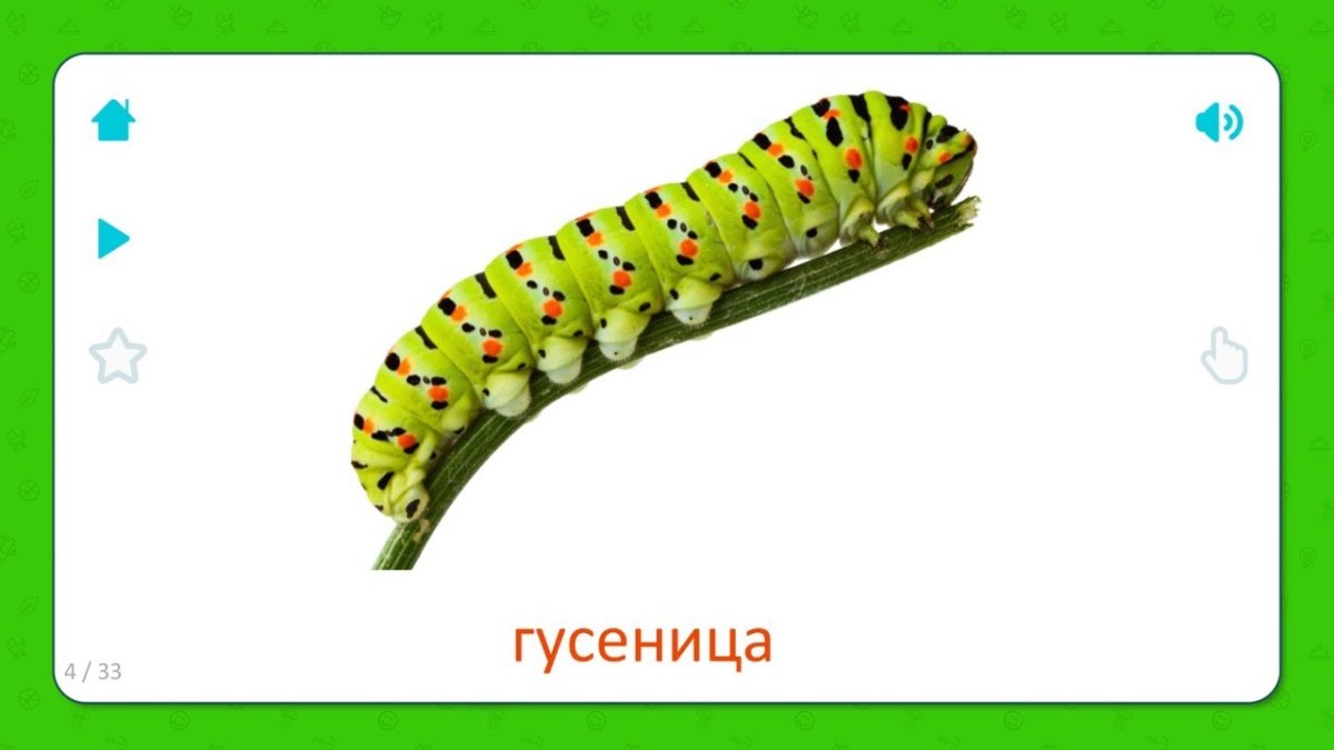 Гусеница карточки Домана