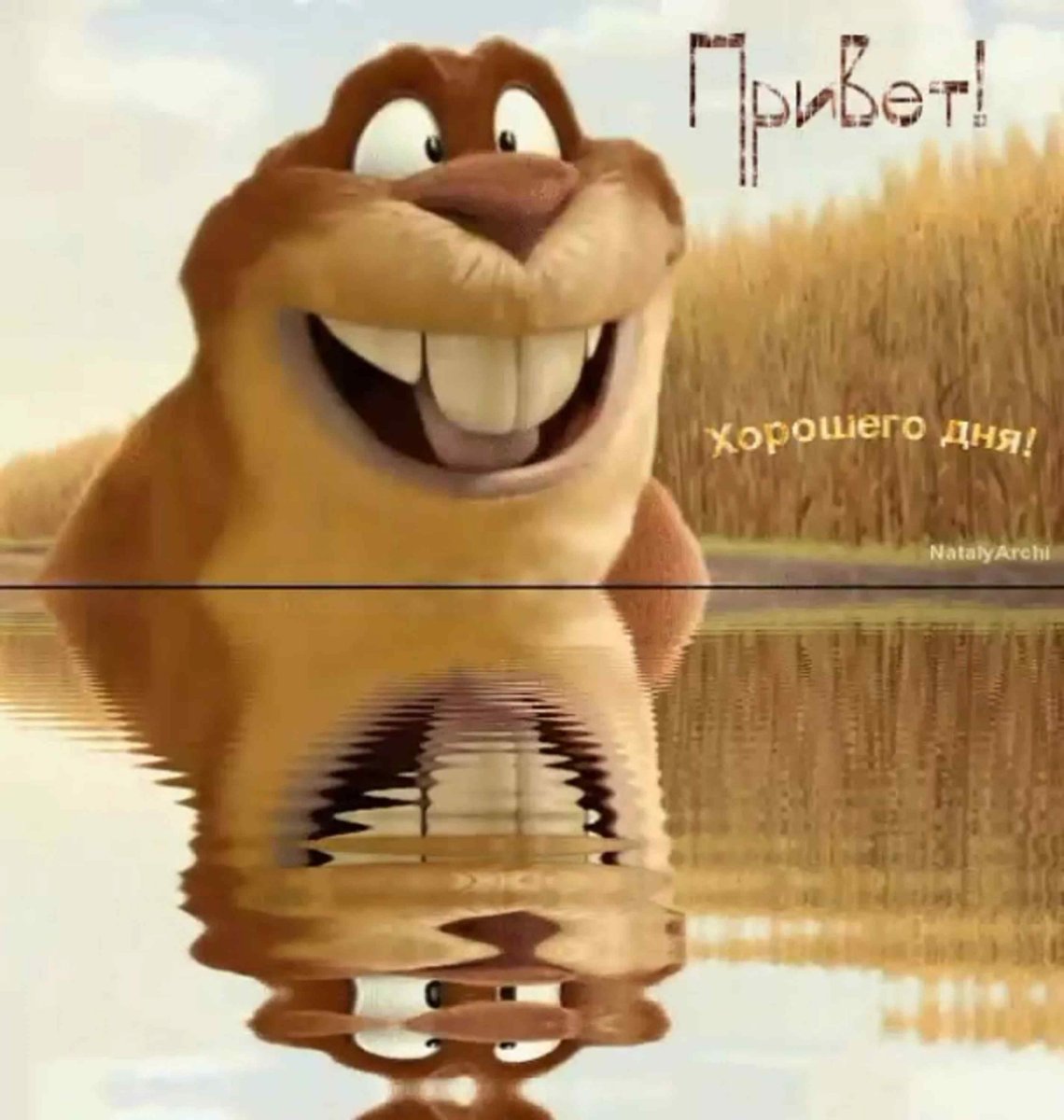 Капибара и Бобр