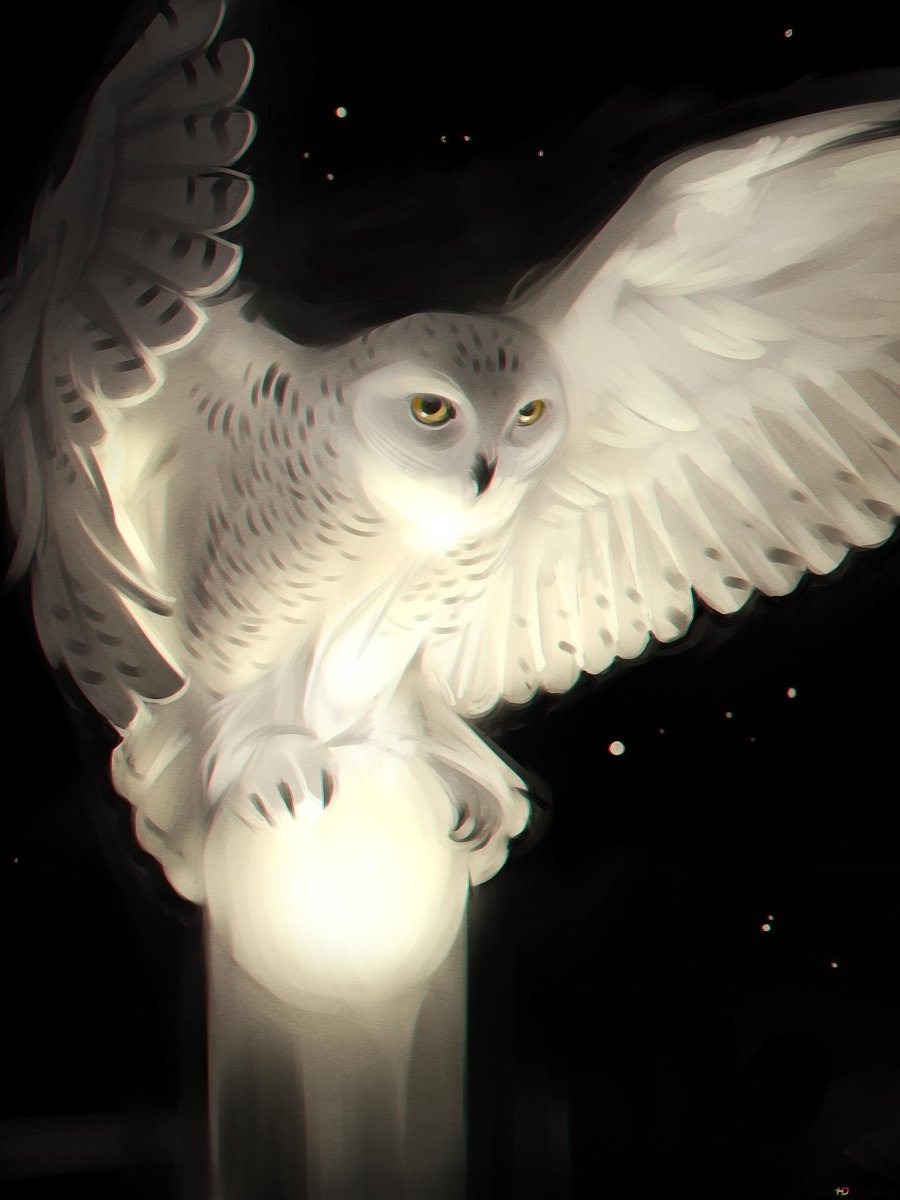 Полярная Сова фэнтези