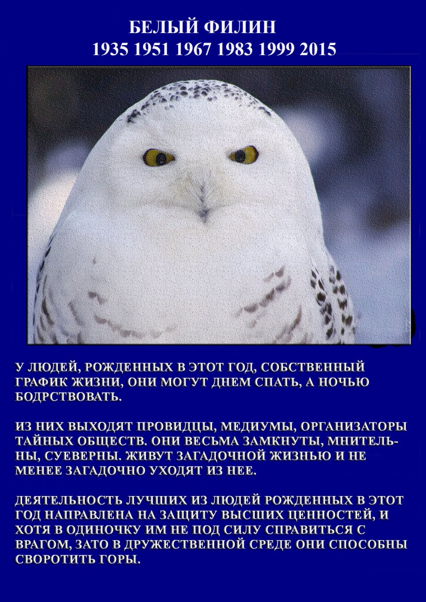 Славянский гороскоп