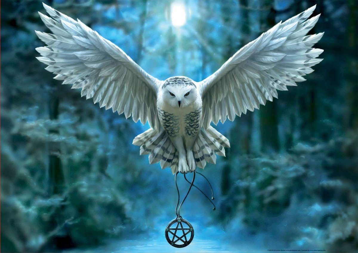 Сова Букля из Гарри Поттера