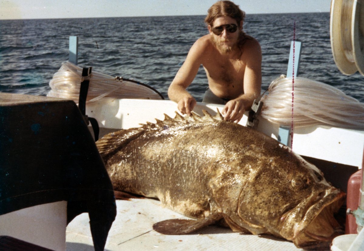 Акулий окунь