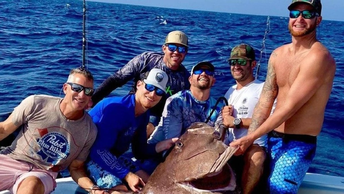 Монстр Goliath Grouper