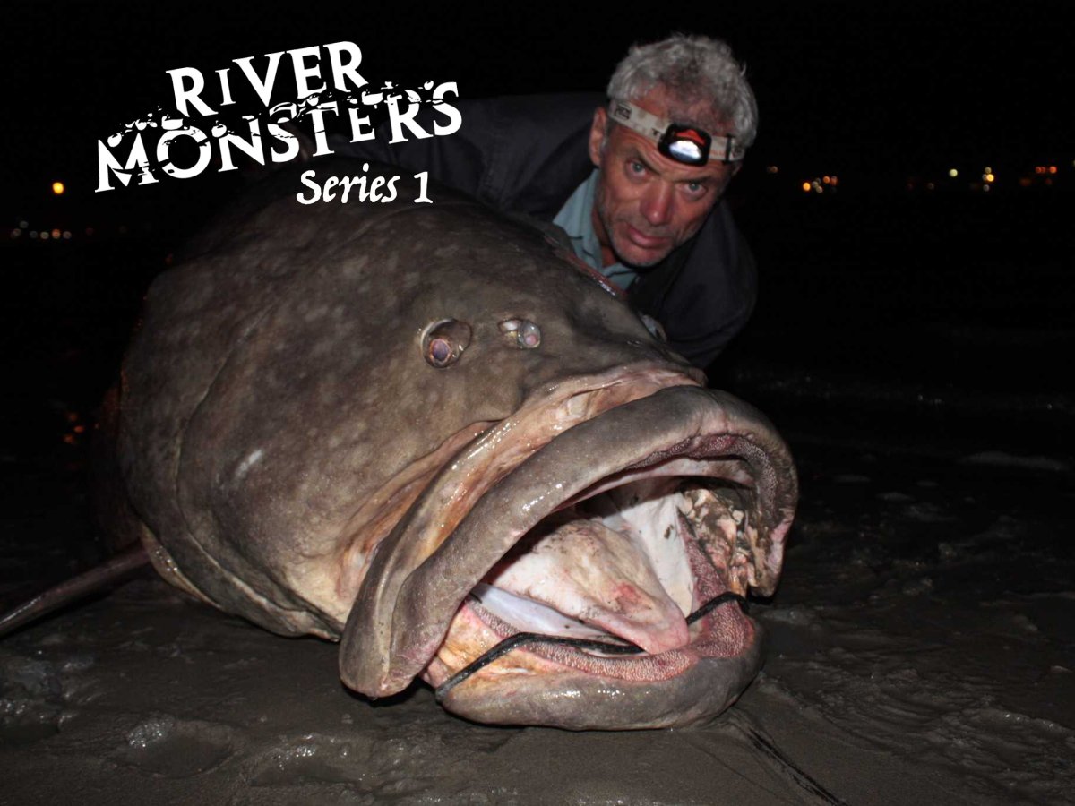 Роман Федорцов Мурманск фото рыб