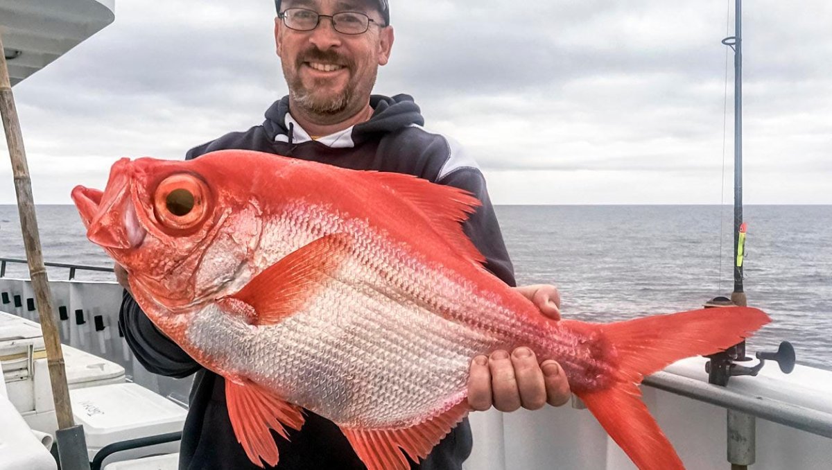 Смешная красная рыба