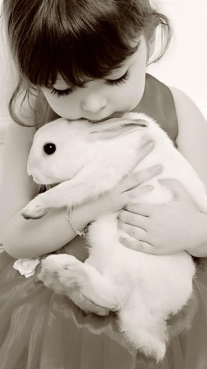 Спящие кролики