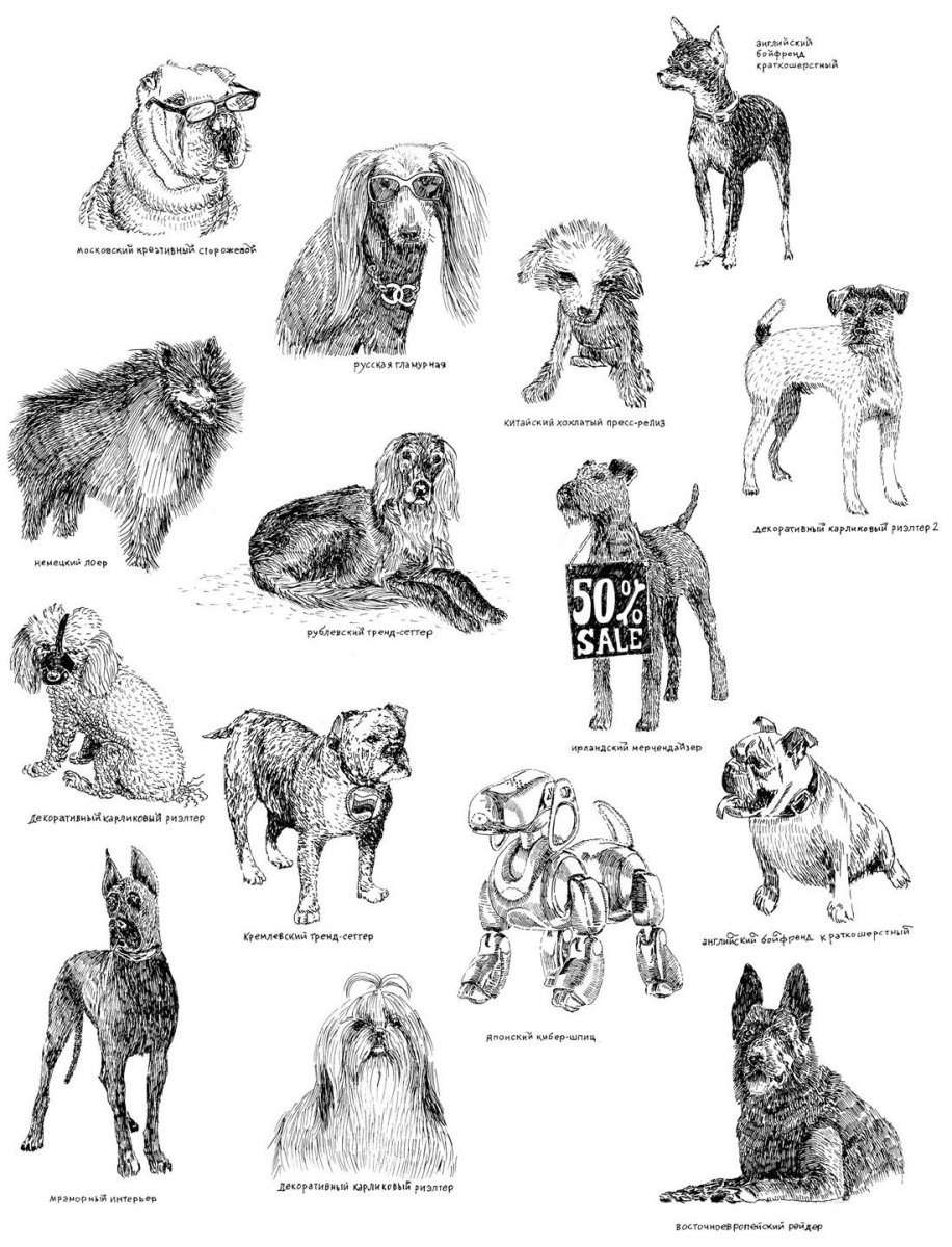 Разные породы собак
