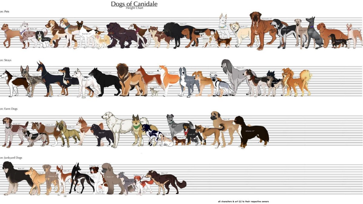 Классификация пород собак по размерам