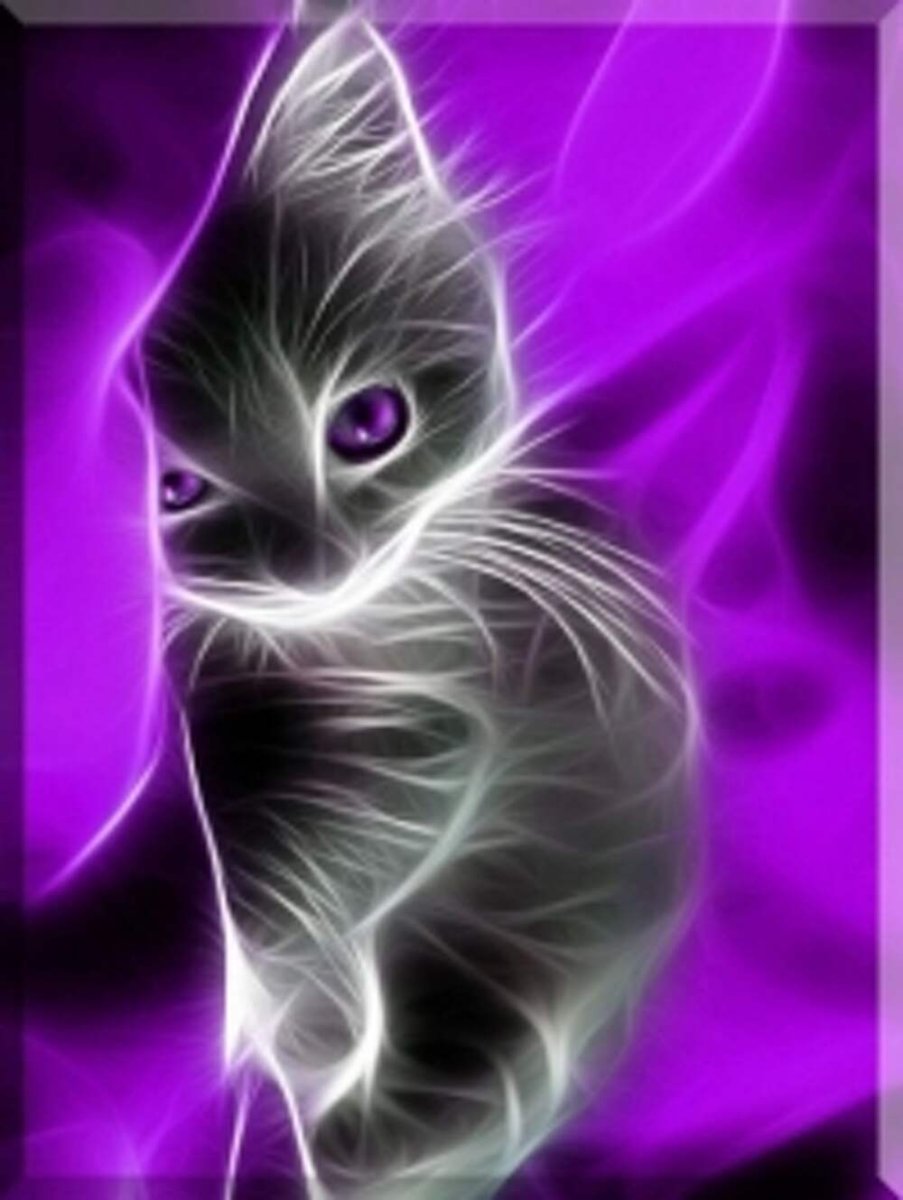 Неоновый кот