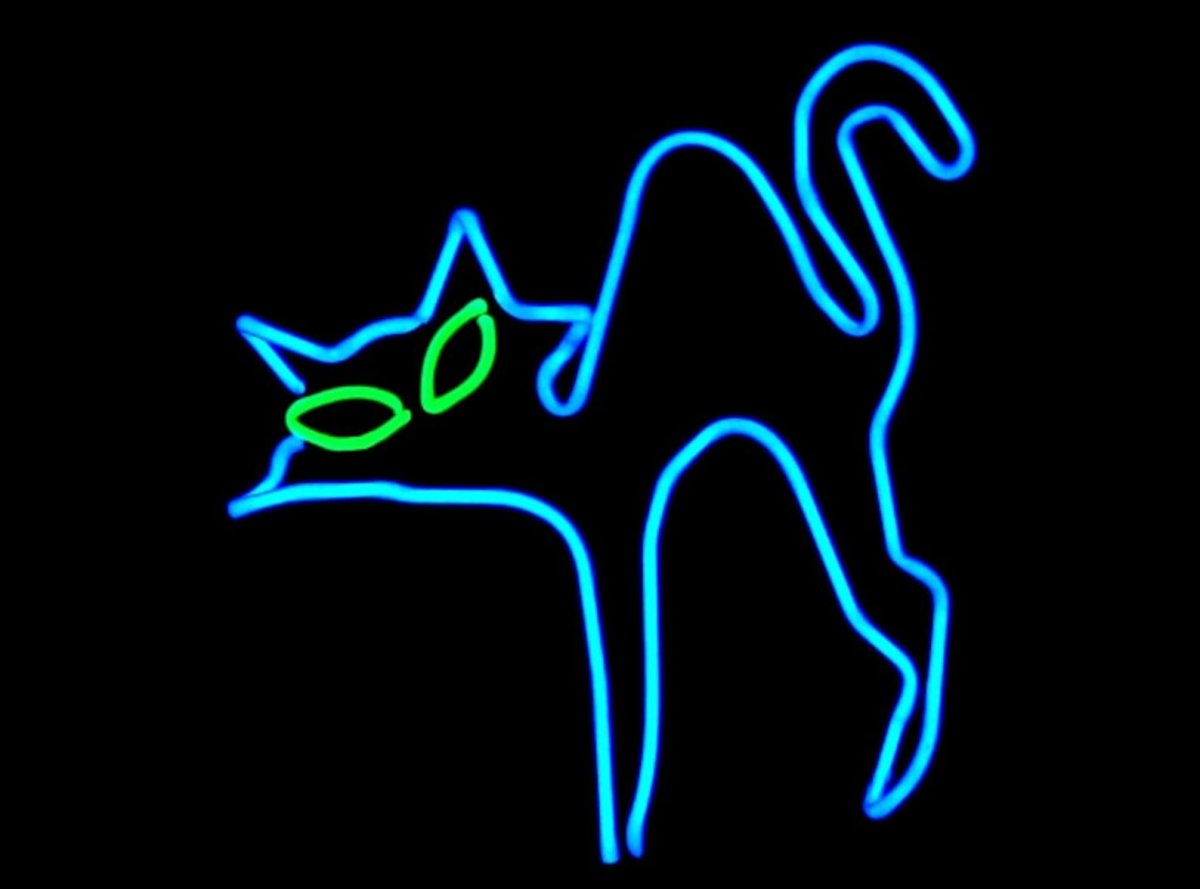 Кот неон