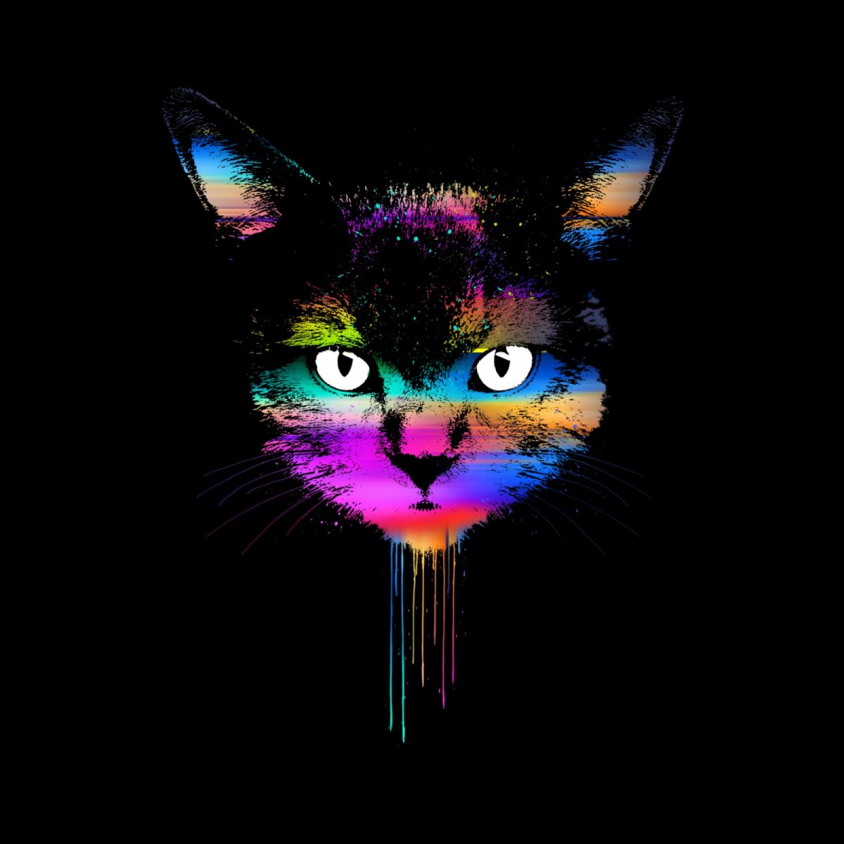 Кот за клавиатурой