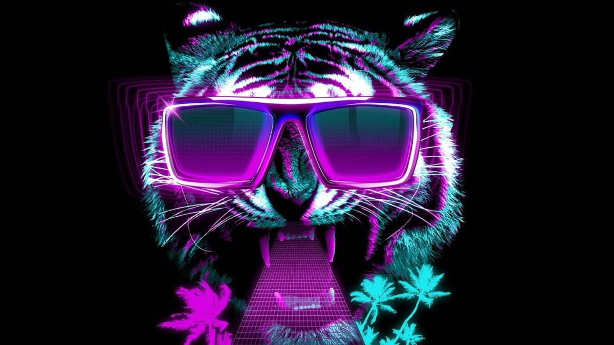 Кот в очках