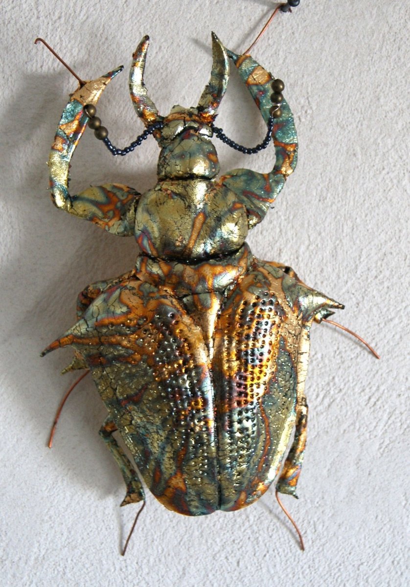 Самые редкие жуки