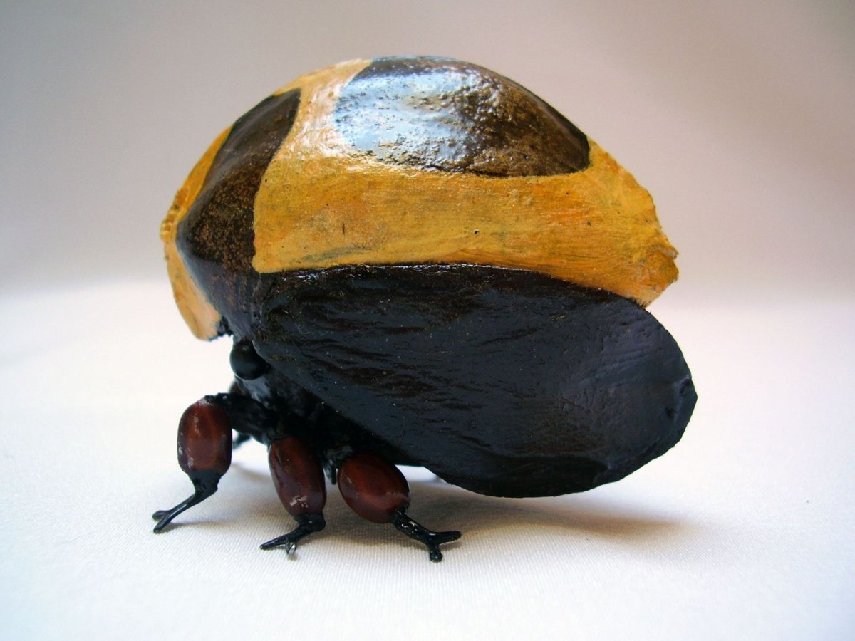 Жук Хоризин Жук с секретом