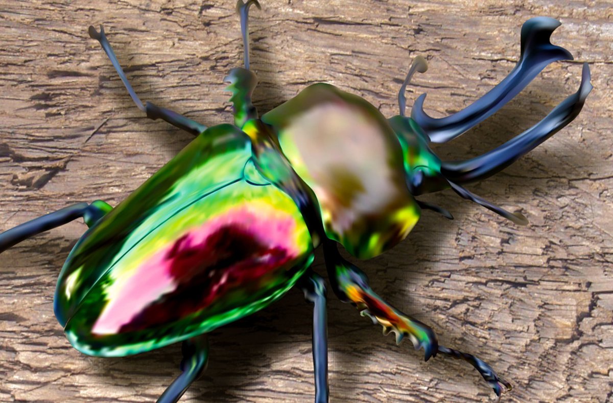 Жук Рогач зеленый