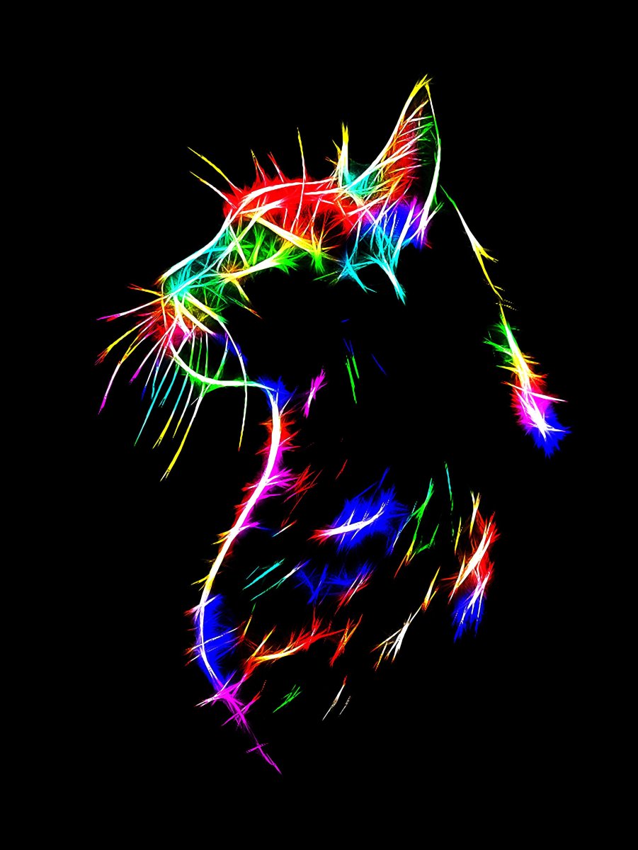 Неоновый кот