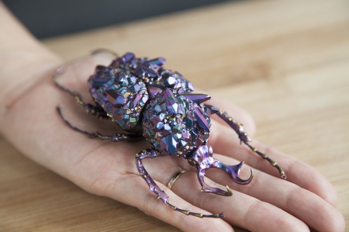 Гламурный Жук